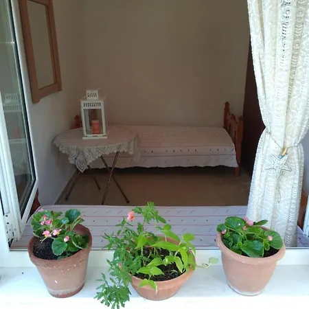 호텔 Velikis 토로니