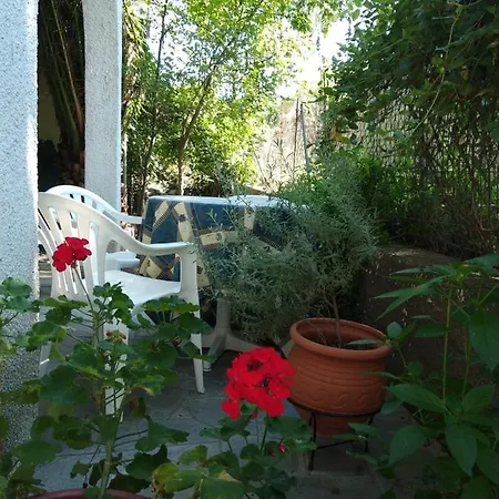 Velikis * Τορώνη