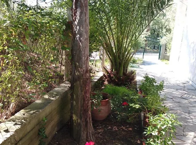 Velikis 酒店 托罗尼